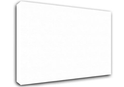 picture of blank canvass